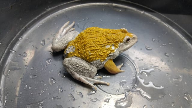 パラドックス