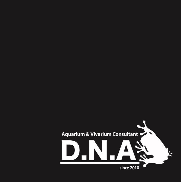 D.N.A（四万十本店）