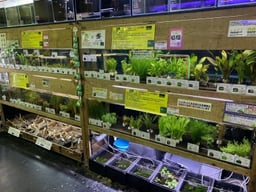 ペットボックス北谷店の画像2