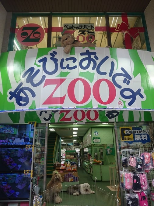 ZOO四谷
