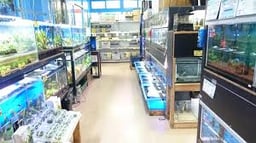 かねだい 所沢店の画像2
