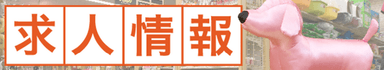 ディスワン 新潟西店の画像2
