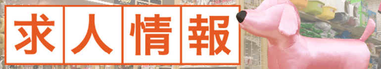 ディスワン 新潟西店