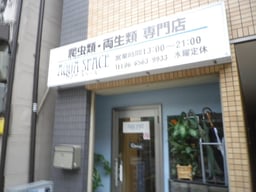 アクアスペースの画像1