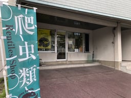 Riri's Reptiles Familiarの画像1