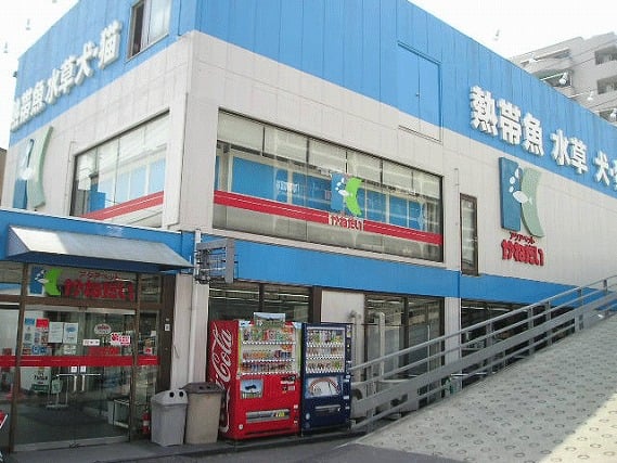 かねだい草加店