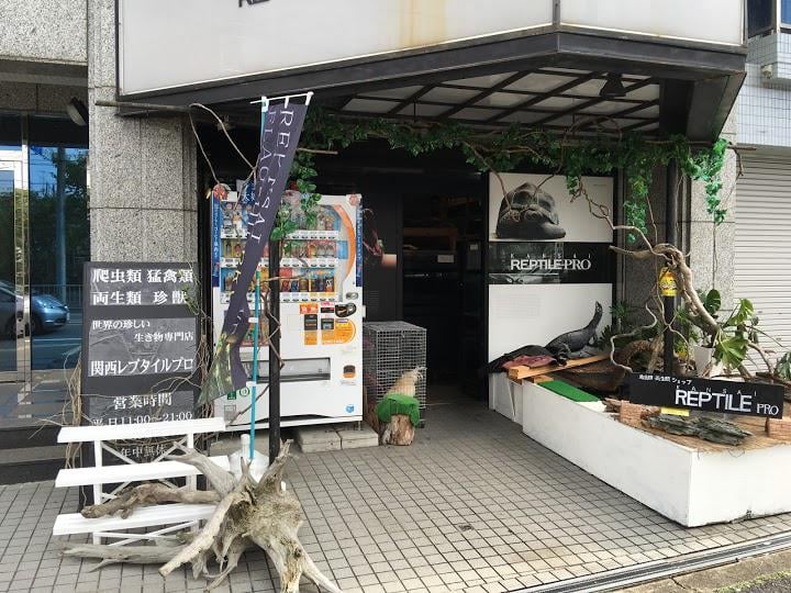 関西レプタイルプロ