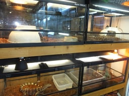 E.S.P.（Exotic Store Pess）の画像2