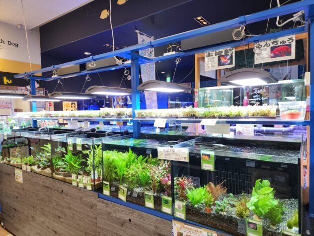ペットワールド アミーゴ 高知店
