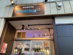 Repti bugの画像2