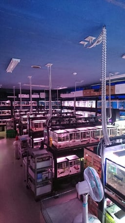 かねだい我孫子店の画像1