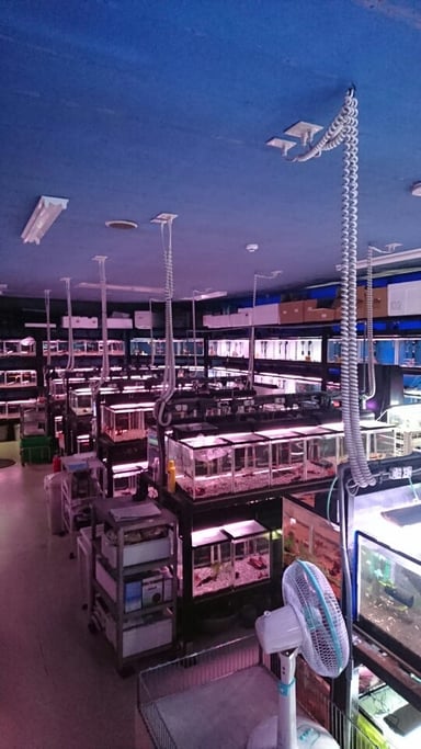 かねだい我孫子店の画像1