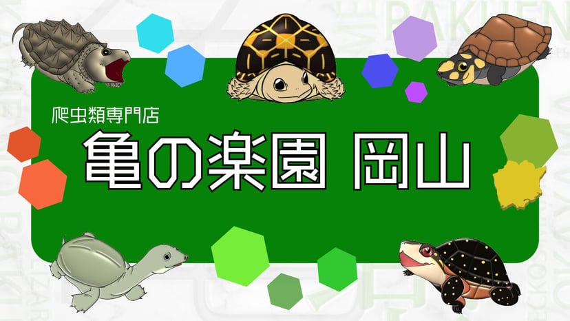亀の楽園岡山