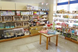 ペットショップマーチ黒部店の画像1