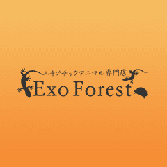 Exo Forest