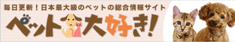 ディスワン 新潟西店