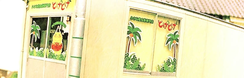 小さな爬虫類専門店『とげとげ』