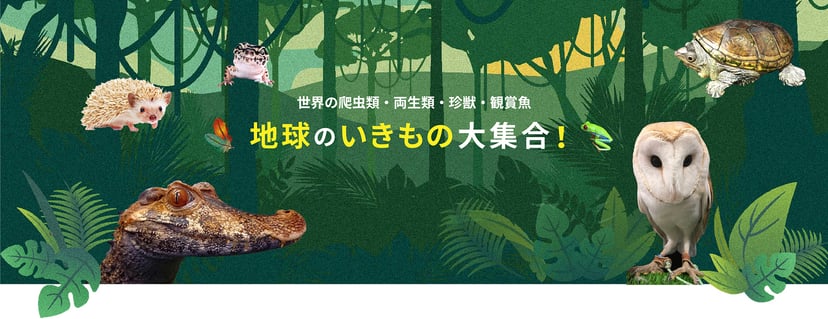 ペットランド ガリバー