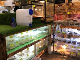 PETSHOP Sirius（シリウス）の画像2