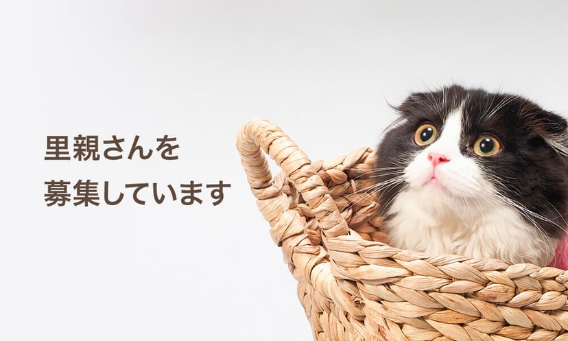 ペットガーデン八戸