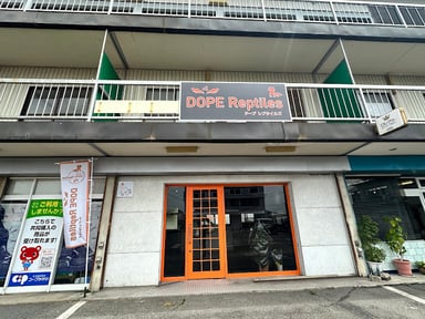 DOPE Reptilesの画像1