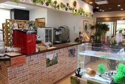 爬虫類Shop&Cafe ジュラの杜の画像3
