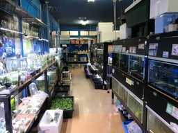 かねだい 所沢店の画像3