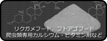 爬虫類倶楽部 J ジョイフル本田 茨城ニューポートひたちなか店