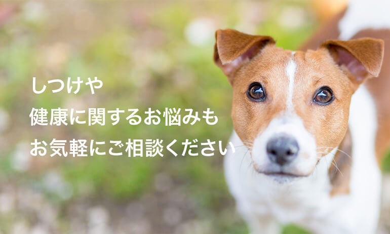 ペットガーデン八戸
