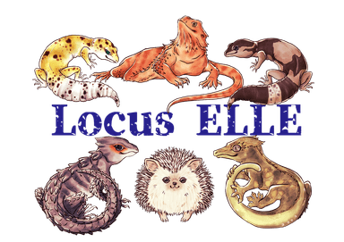 Locus ELLEの画像1