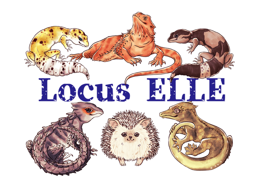 Locus ELLE