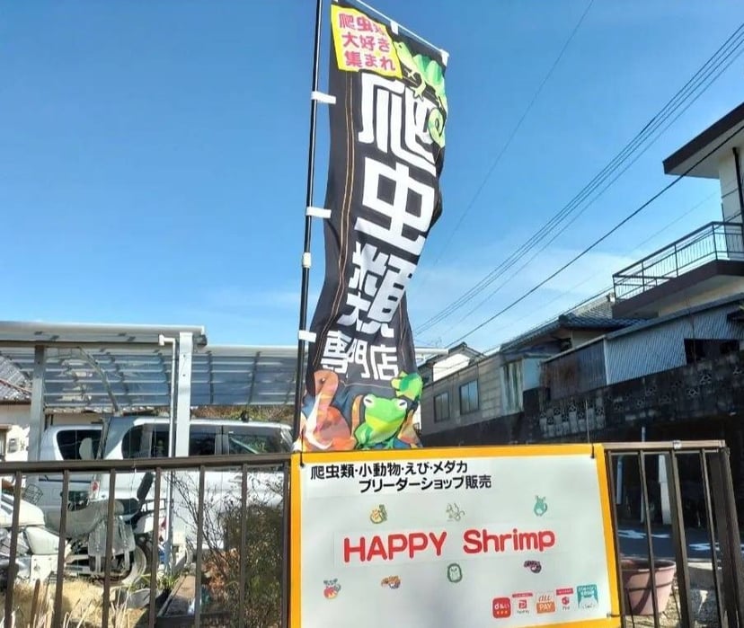 HAPPY REPTILE
