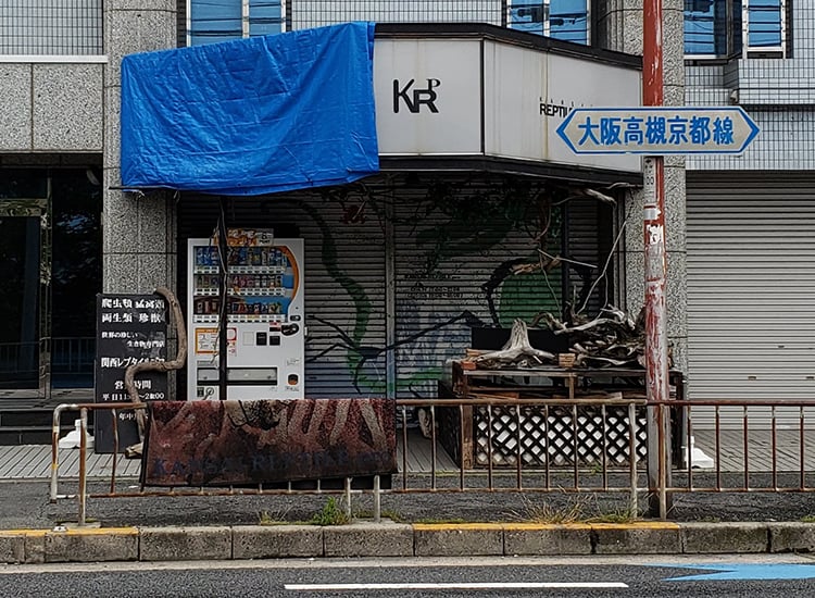 関西レプタイルプロ