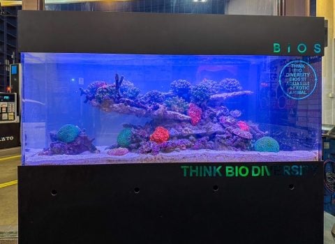 ペットショップBIOS