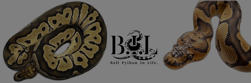 B.I.L