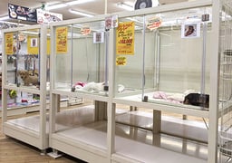 かねだい伊勢原店の画像1
