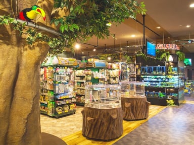 ひごペット イオンモール出雲店の画像3