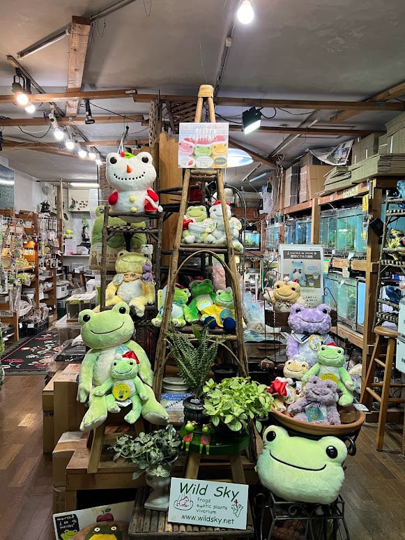 ワイルドスカイ
