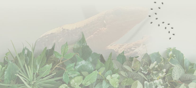 Exo Forest