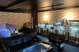 Pierce shop ＆ Bar REBELの画像1