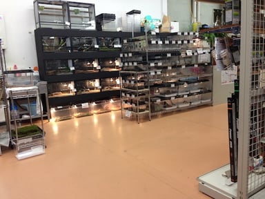 i LAND やまがみの画像1