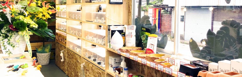 小さな爬虫類専門店『とげとげ』