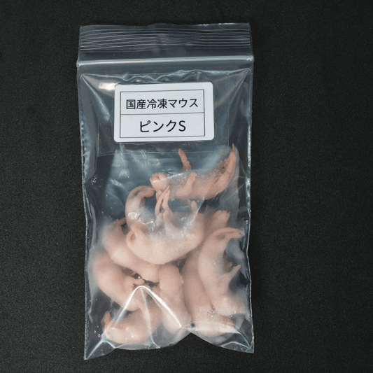 サイエンスファーム爬虫類 土浦店