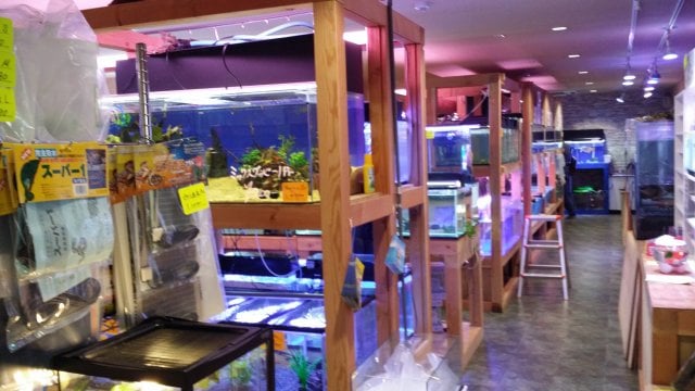 リトル水族館ざうお