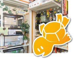 ペットフィールド 新平和通り店