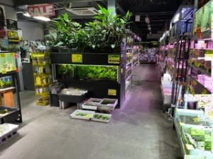株式会社ViViD