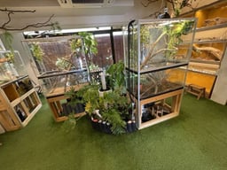Funny Crearures Forest（嵐山）の画像2