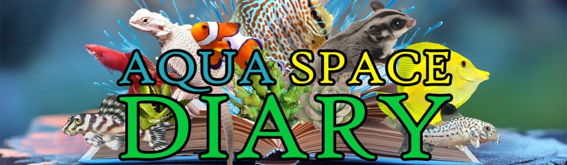 Aqua Space Diary
