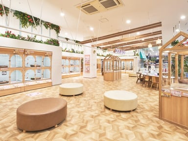 ひごペット イオンモール鳥取北店の画像2