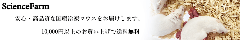 サイエンスファーム爬虫類 土浦店